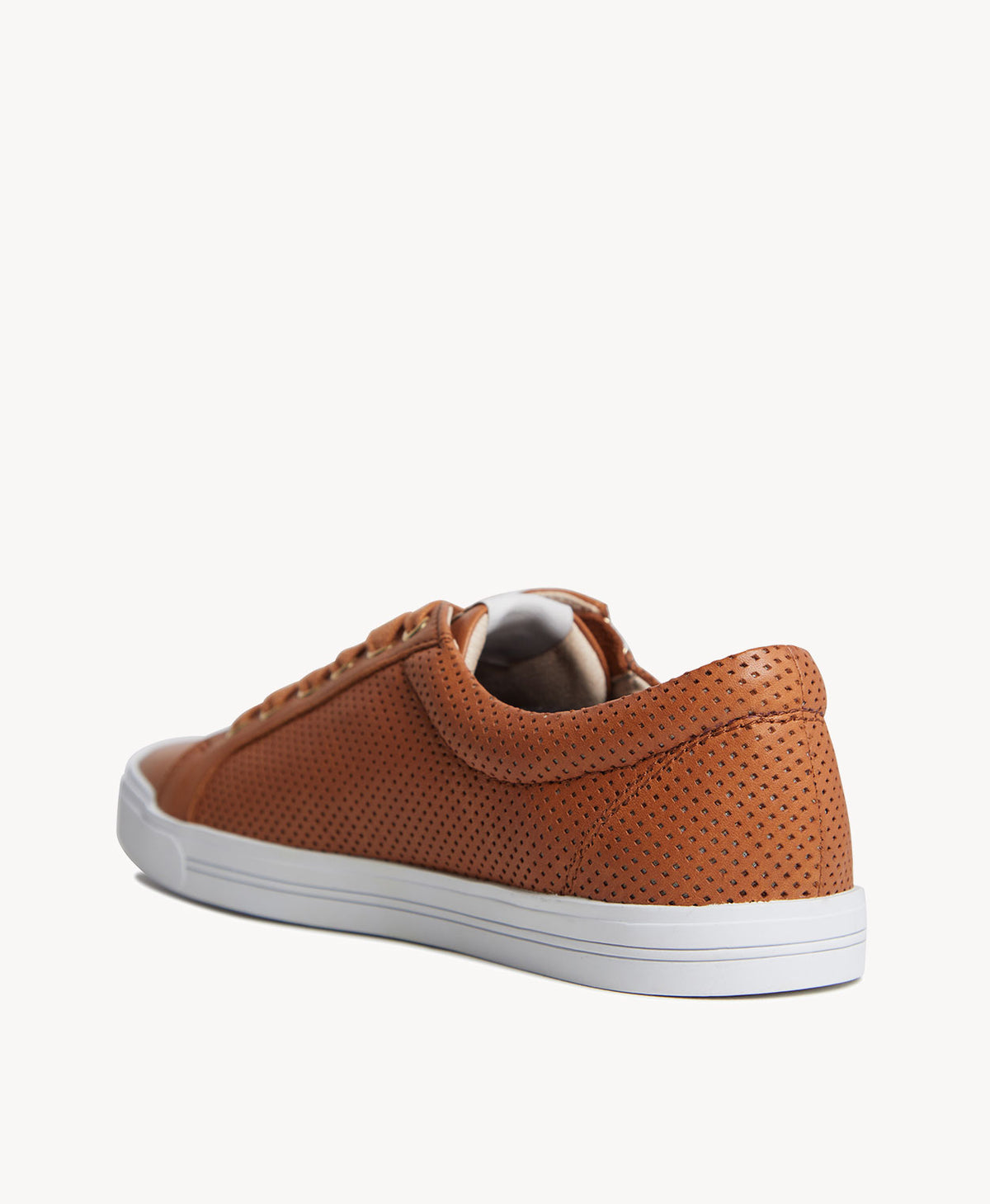 Charm Zip W Sneaker - Sneaker | Womens Shoes - Merchant 1948