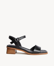 Evans Sandal - Sandals Dress | Womens Shoes - Merchant 1948