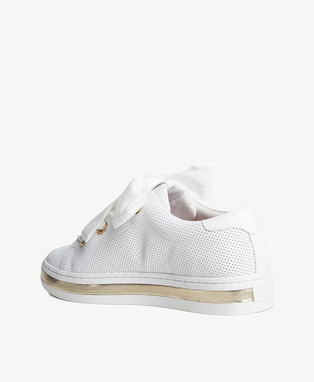 Ginger Perf Sneaker - Sneaker | Womens Shoes - Merchant 1948