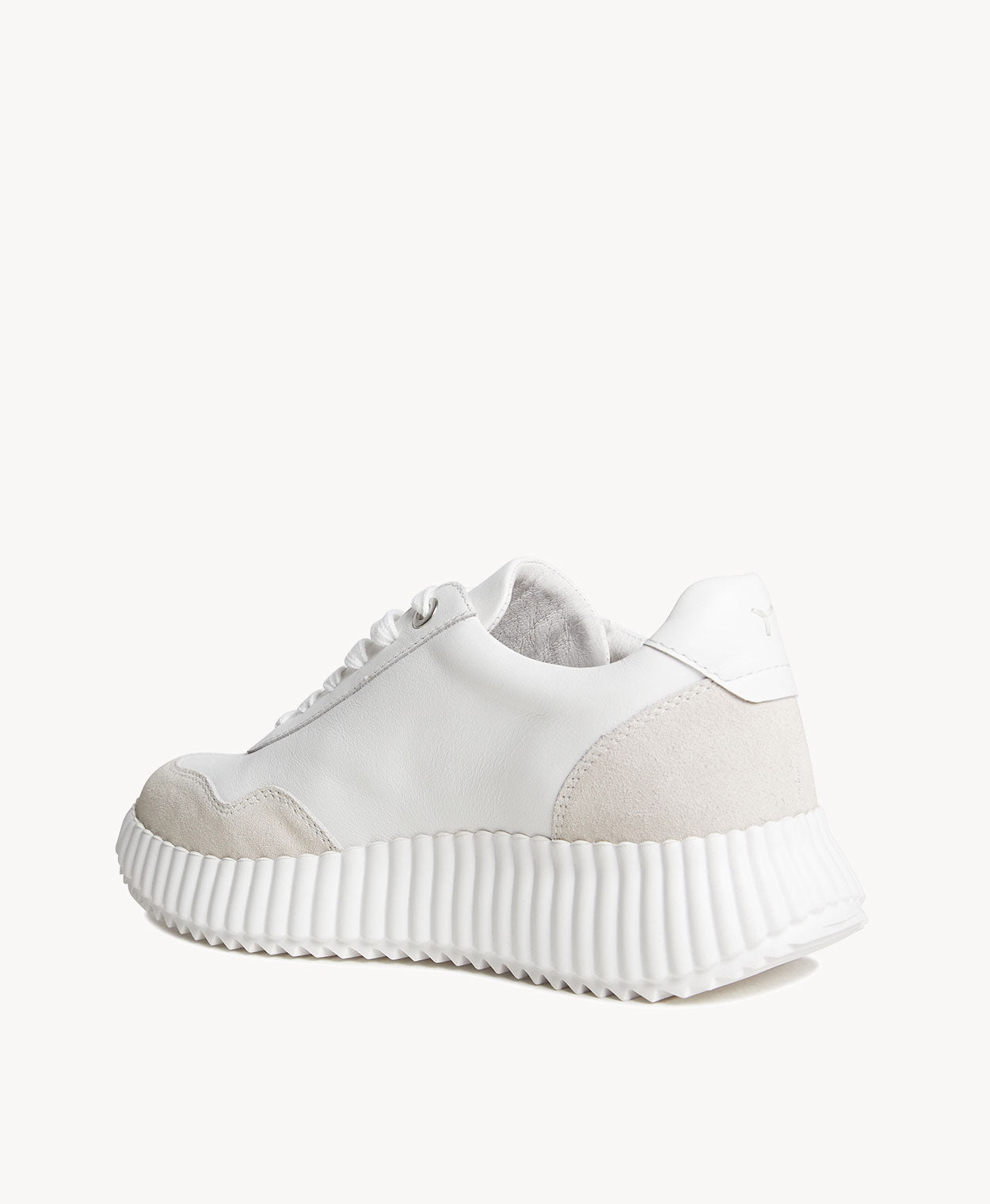 Jayne Sneaker - Sneaker | Womens Shoes - Merchant 1948