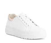 Lindsay Sneaker - Sneaker | Womens Shoes - Merchant 1948