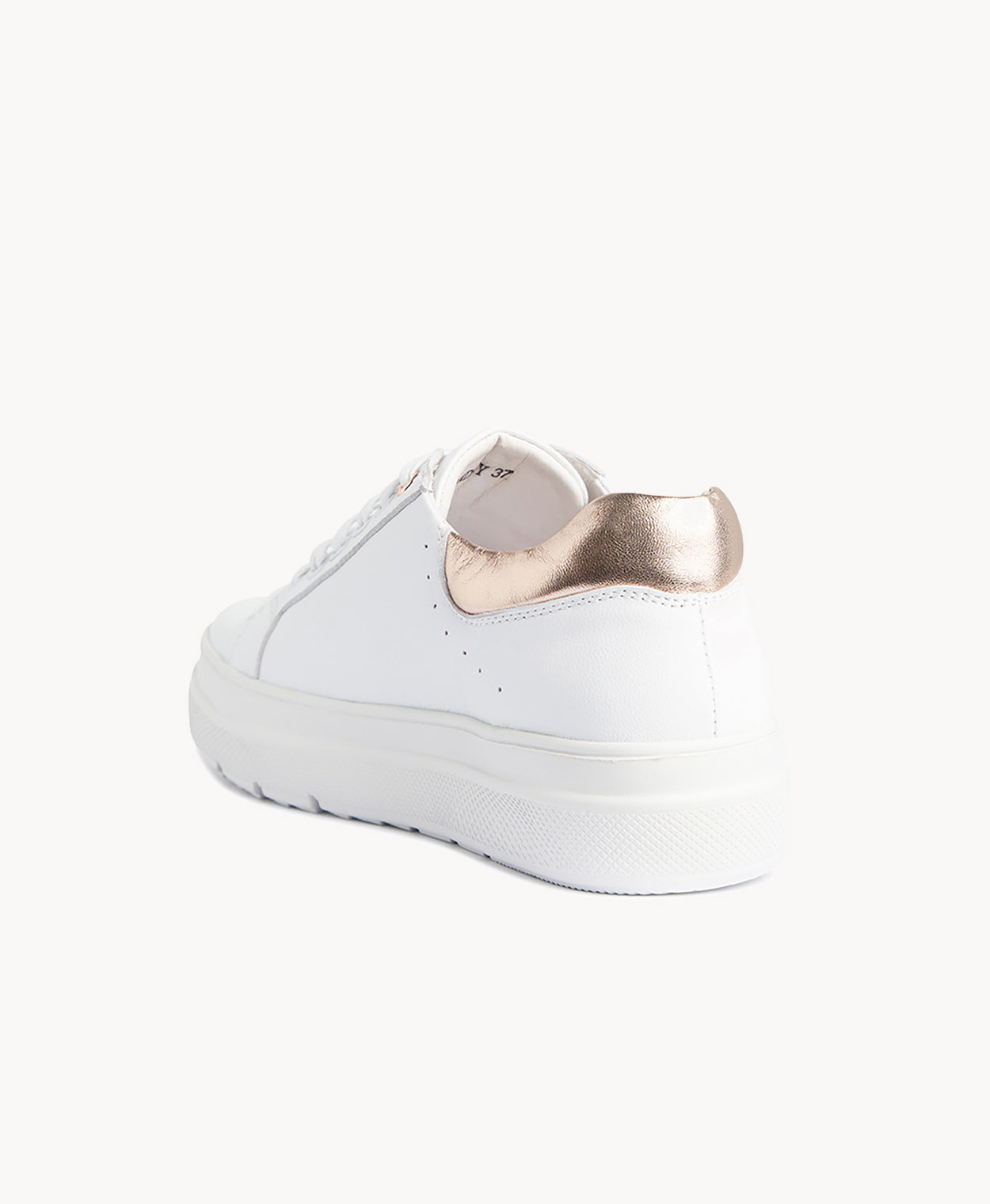 Lindsay Sneaker - Sneaker | Womens Shoes - Merchant 1948