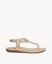 Swansea Sandal - Thongs | Womens Shoes - Merchant 1948