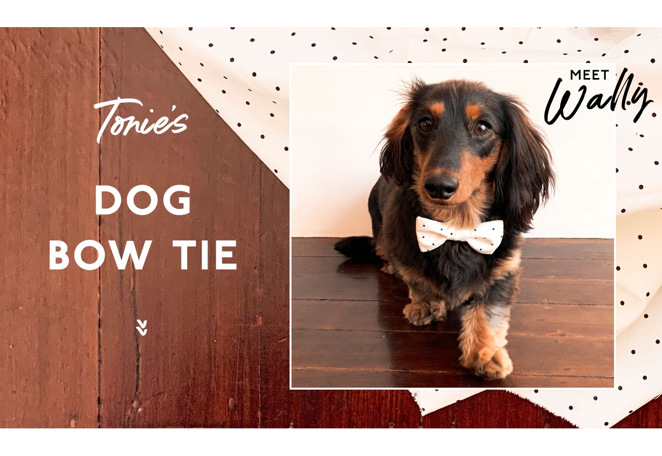 Tonie's Dog Bow Tie